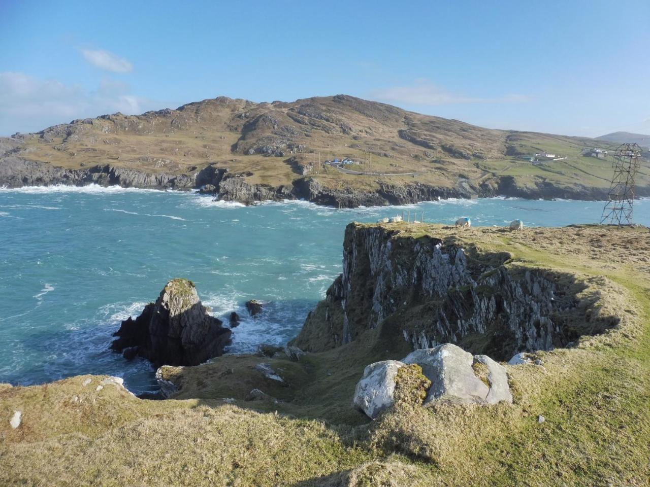Island View House Bed & Breakfast Castletownbere Exterior foto