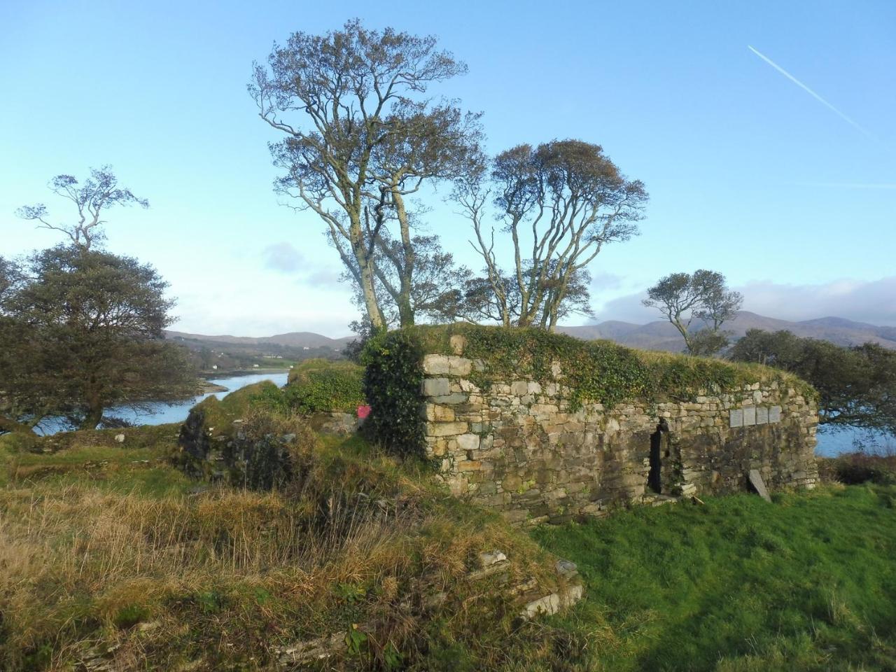 Island View House Bed & Breakfast Castletownbere Exterior foto
