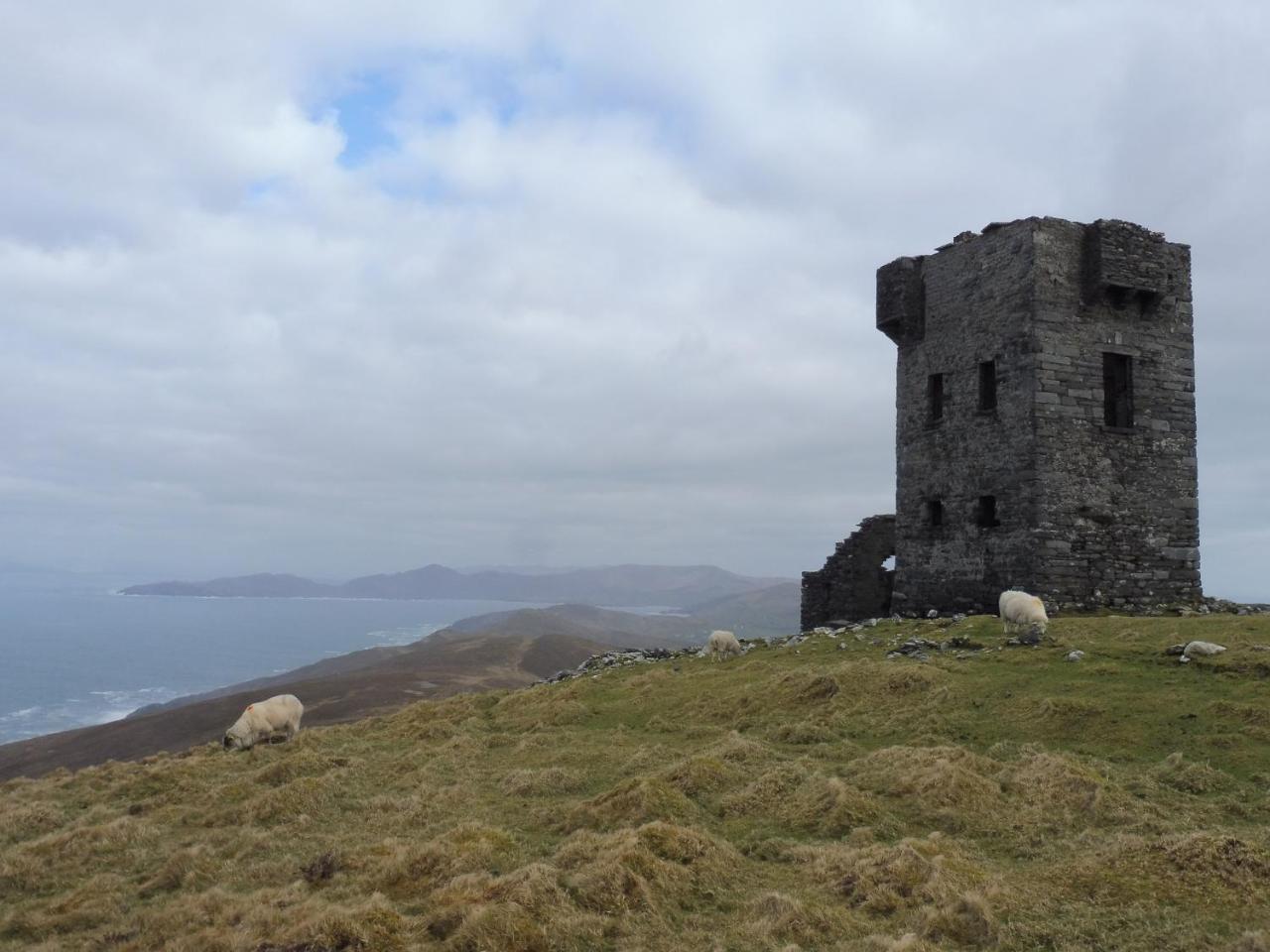 Island View House Bed & Breakfast Castletownbere Exterior foto