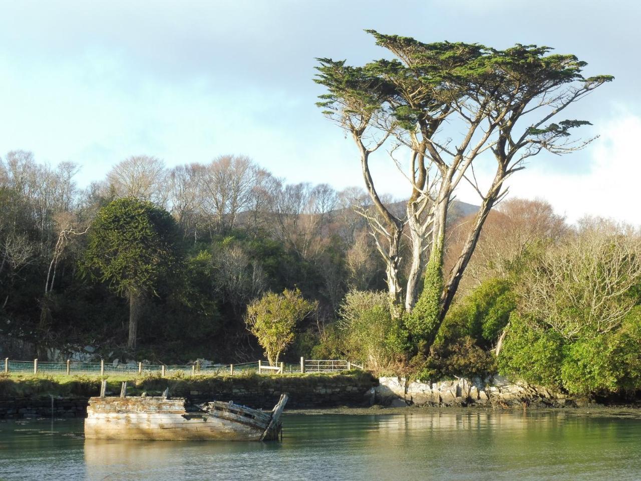 Island View House Bed & Breakfast Castletownbere Exterior foto