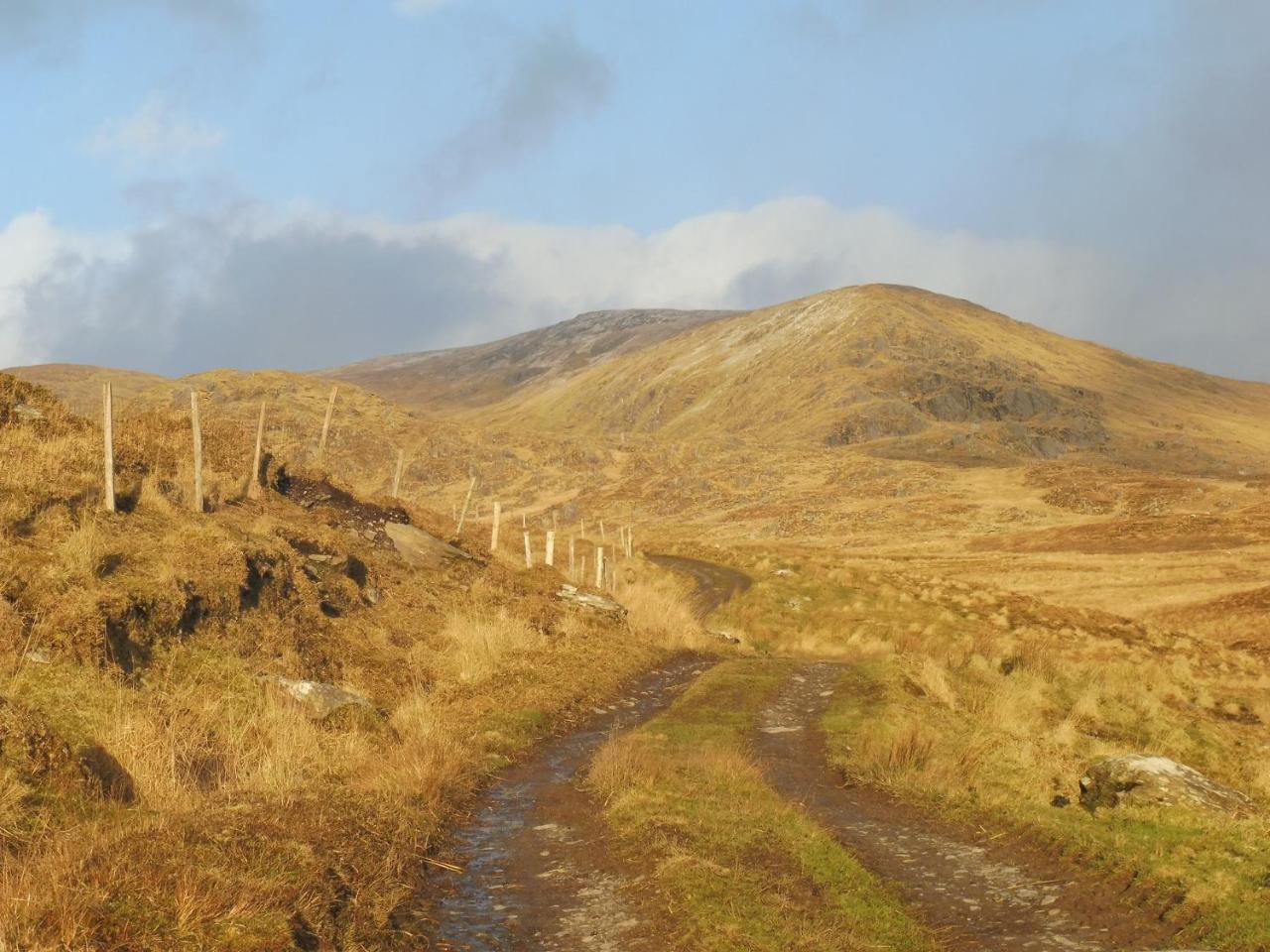 Island View House Bed & Breakfast Castletownbere Exterior foto