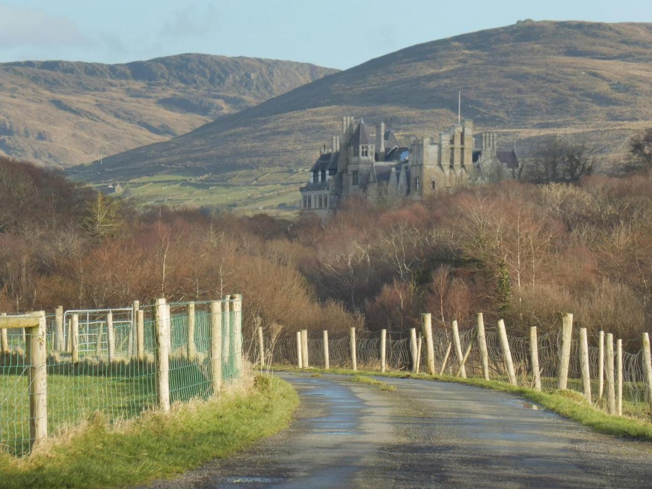 Island View House Bed & Breakfast Castletownbere Exterior foto