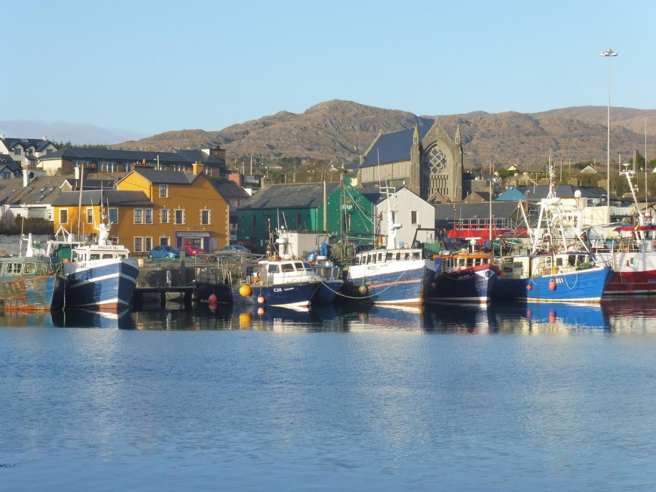 Island View House Bed & Breakfast Castletownbere Exterior foto
